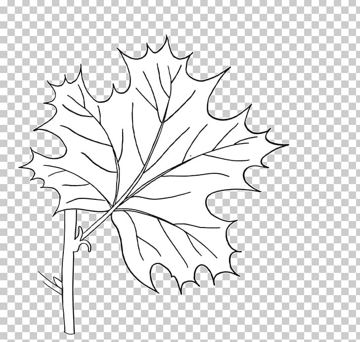 Twig Maple Leaf Drawing Floral Design PNG, Clipart, Artwork, Black And White, Botany, Branch, Drawing Free PNG Download