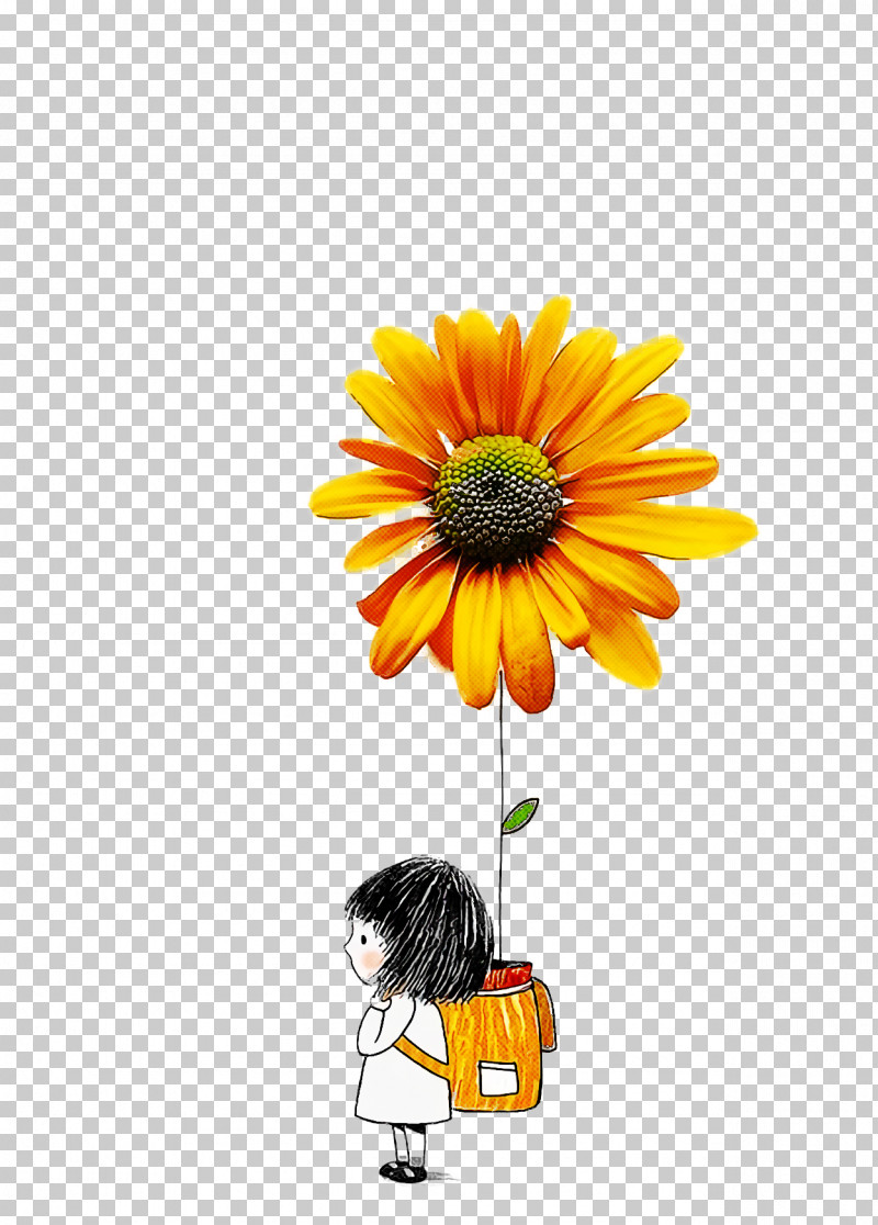 Floral Design PNG, Clipart, Annual Plant, Barberton Daisy, Chrysanthemum, Common Daisy, Common Sunflower Free PNG Download