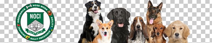 For Your K9 PNG, Clipart, Agility, Animals, Area, Brand, Chicago Free PNG Download