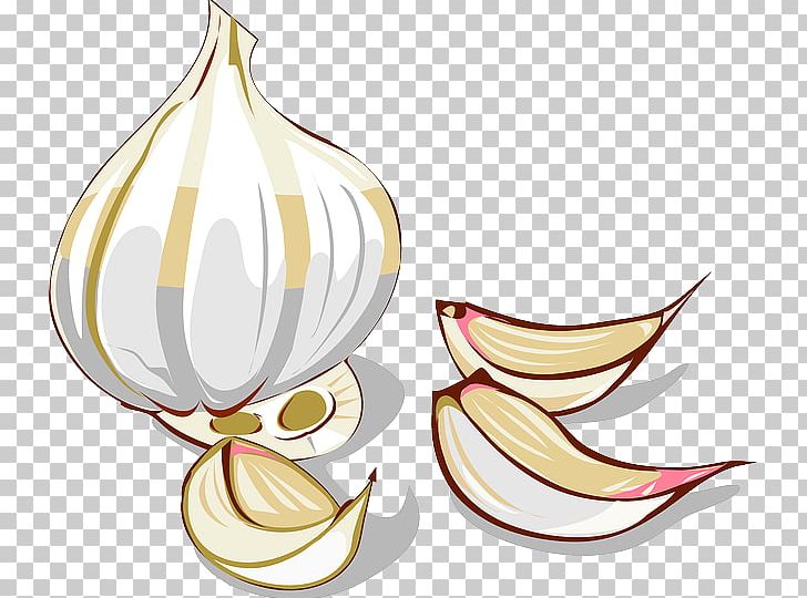 Garlic Onion Vegetable PNG, Clipart, Cartoon, Clip Art, Flower, Food, Garlic Free PNG Download