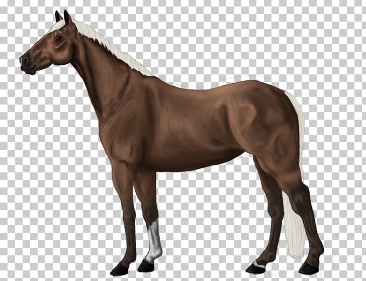 Stallion Thoroughbred Colt Mane Mare PNG, Clipart, Animal, Bit, Bridle, Colt, Daryl Dixon Free PNG Download