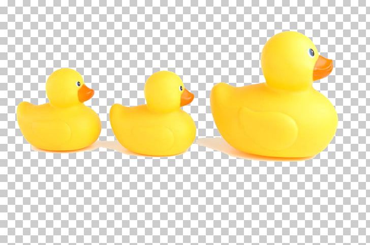 Duck Toy Animal PNG, Clipart, Animals, Animal Toys, Bird, Cartoon, Cartoon Animals Free PNG Download