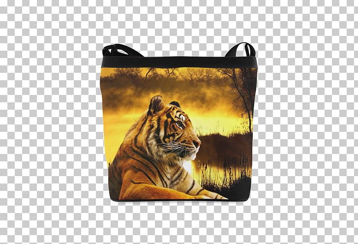 Felidae Cat Lion Bengal Tiger White Tiger PNG, Clipart, Animal, Bengal Tiger, Big Cat, Big Cats, Carnivoran Free PNG Download