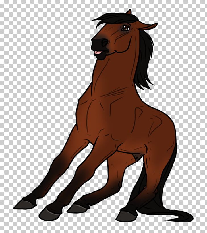Mane Foal Stallion Mustang Colt PNG, Clipart, Animal, Bridle, Colt, English Riding, Equestrian Free PNG Download
