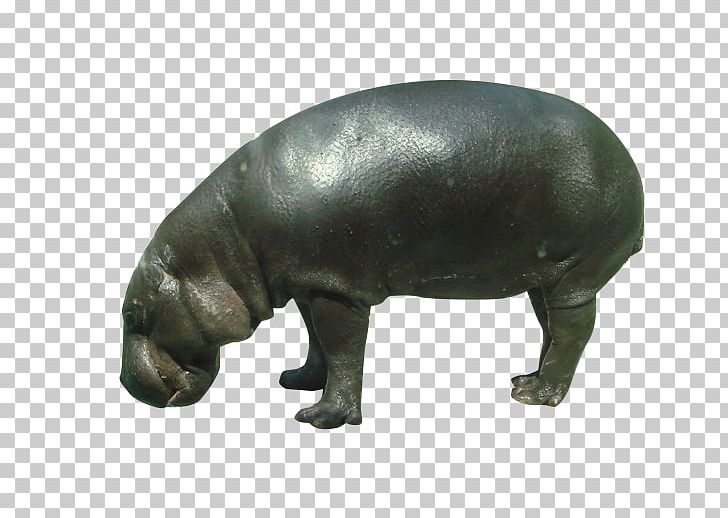Pygmy Hippopotamus Rhinoceros Wildlife PNG, Clipart, Animal, Animals, Black, Choeropsis, Download Free PNG Download