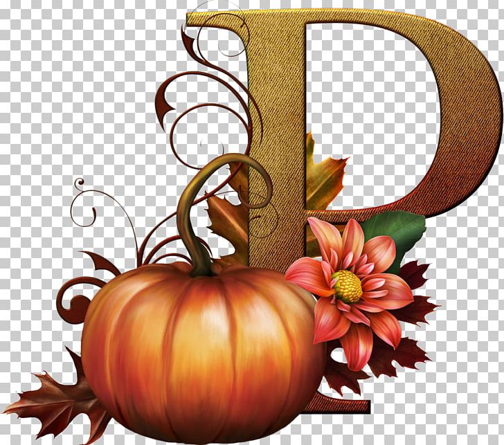 Ars Botanica Jack-o'-lantern Calabaza Gourd Cucurbita PNG, Clipart,  Free PNG Download