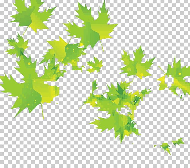 Maple Leaf PNG, Clipart, Art, Branch, Color, Desktop Wallpaper, Flowering Plant Free PNG Download