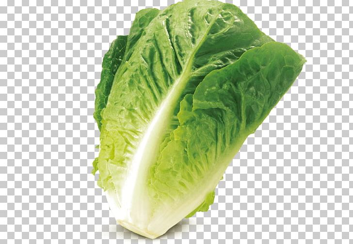Romaine Lettuce Savoy Cabbage Iceberg Lettuce Salad Leaf Vegetable PNG, Clipart, Butterhead Lettuce, Cabbage, Cauliflower, Chard, Collard Greens Free PNG Download