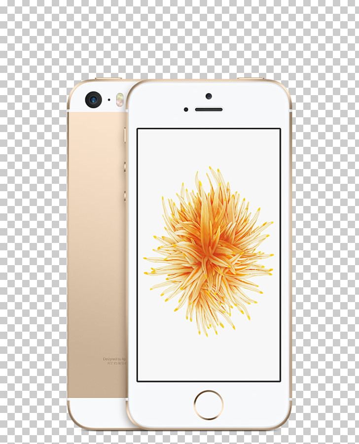 IPhone SE IPhone 6 IPhone 5s Apple Refurbishment PNG, Clipart, Apple, Codedivision Multiple Access, Electronic Device, Flower, Fruit Nut Free PNG Download