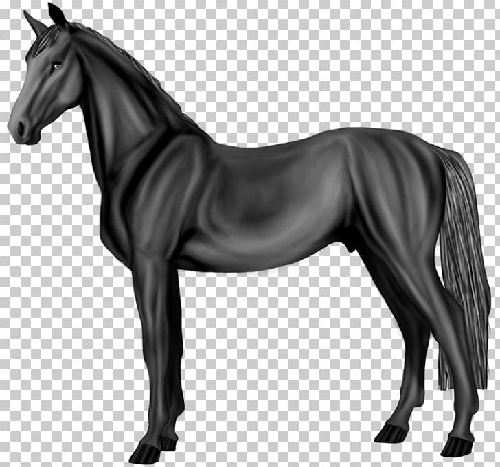 Mane Akhal-Teke Pony Mustang Grayscale PNG, Clipart, Akhalteke, Animal Figure, Bit, Black And White, Breed Free PNG Download