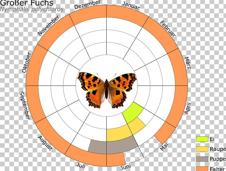 Monarch Butterfly Butterflies And Moths Insect Large Tortoiseshell Schmetterling Des Jahres PNG, Clipart, Animals, Area, Butterflies And Moths, Caterpillar, Circle Free PNG Download