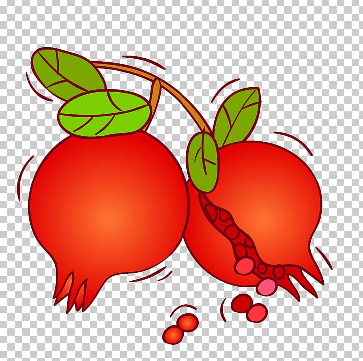 Pomegranate Fruit PNG, Clipart, Apple, Artwork, Auglis, Cartoon, Food Free PNG Download