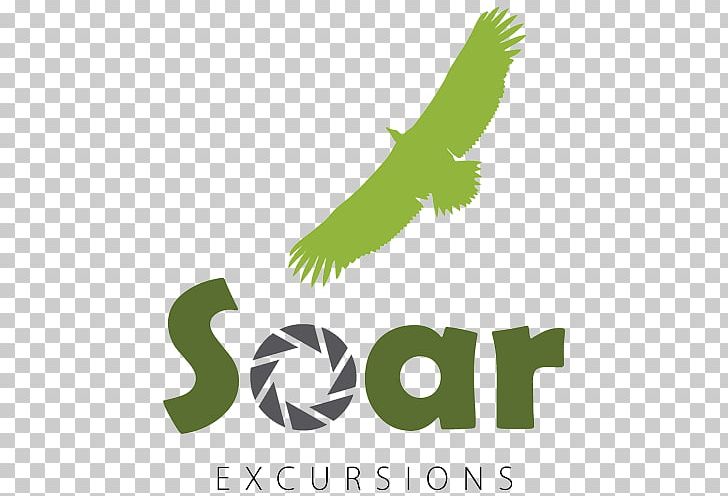 Soar Excursions Organization Beak Individual Bird PNG, Clipart, Beak, Bird, Bird Of Prey, Brand, Donation Free PNG Download