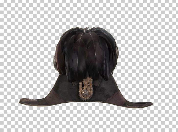 Hat Designer Feather PNG, Clipart, Accessories, Animals, Black, Black Background, Black Feather Free PNG Download
