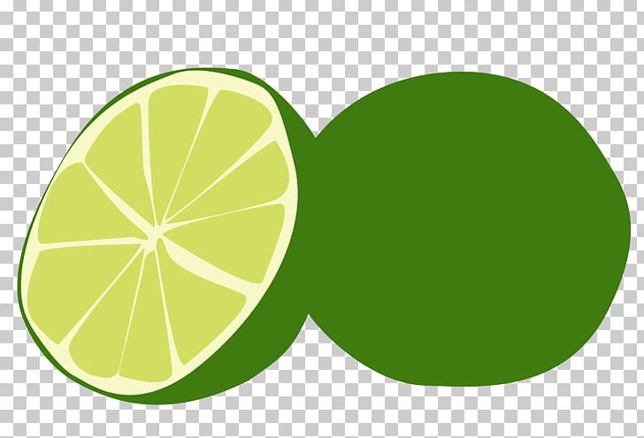 Key Lime Lemon Persian Lime PNG, Clipart, Cardiac Ultrasound, Circle, Citric Acid, Citrus, Food Free PNG Download