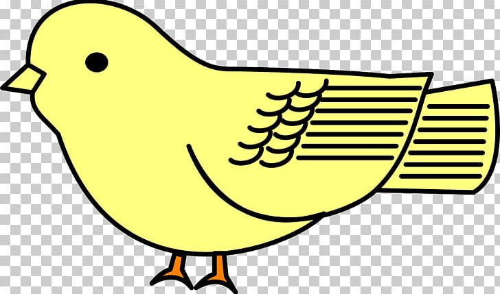 Bird Cartoon Drawing PNG, Clipart, Animal, Animals, Area, Artwork, Beak Free PNG Download