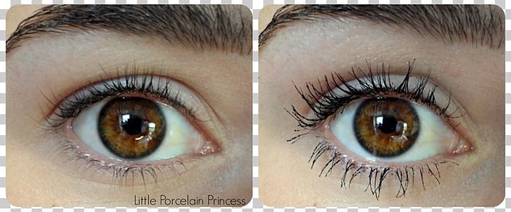 Eyelash Extensions Eye Shadow Mascara Brown PNG, Clipart, Artificial Hair Integrations, Brown, Closeup, Closeup, Cosmetics Free PNG Download