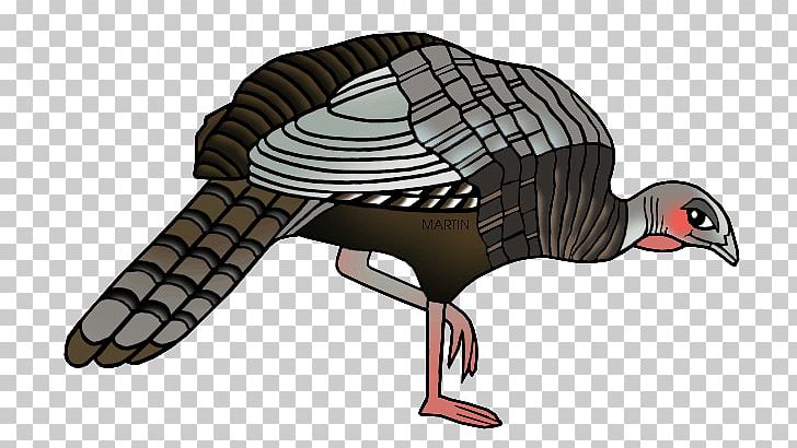 United States Turkey PNG, Clipart, Beak, Bird, Christmas, Domesticated Turkey, Drawing Free PNG Download