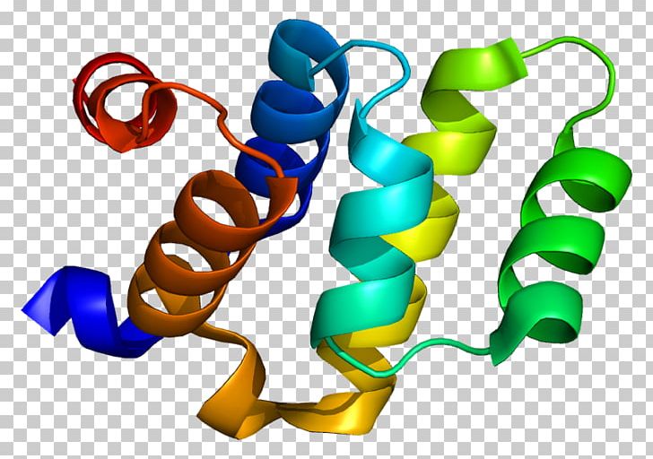 Cradd Worldwide Protein Data Bank Caspase 2 Png Clipart Body