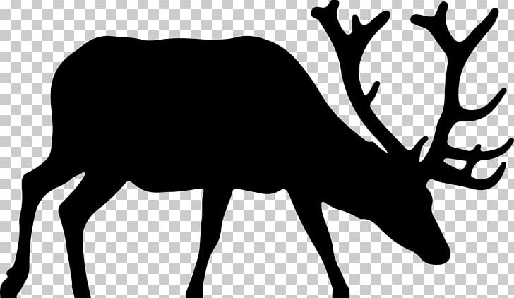 Elk Deer Moose PNG, Clipart, Animals, Antler, Black And White, Deer, Elk Free PNG Download