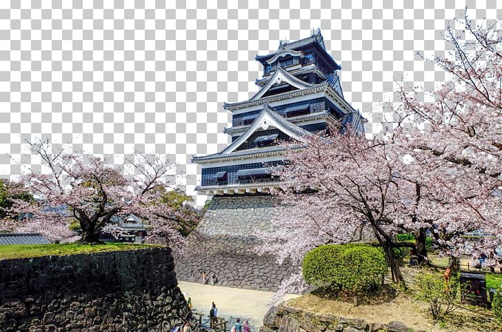 Kumamoto Castle Osaka Castle U4e09u540du57ce 2016 Kumamoto Earthquakes PNG, Clipart, Attractions, Building, Castle, Cherry, Disney Castle Free PNG Download