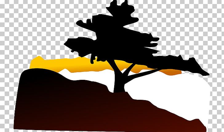 Open Graphics Tree PNG, Clipart, Africa Tree, Art, Artwork, Bonsai, Cedar Free PNG Download
