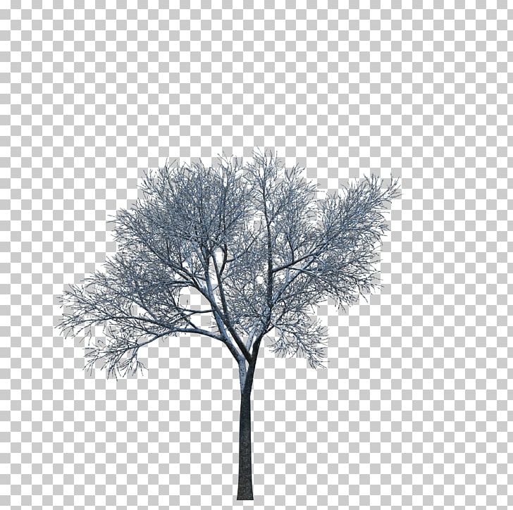 Plant Tree 3D Computer Graphics PNG, Clipart, 3d Computer Graphics, Autodesk 3ds Max, Autumn Tree, Background, Black And White Free PNG Download