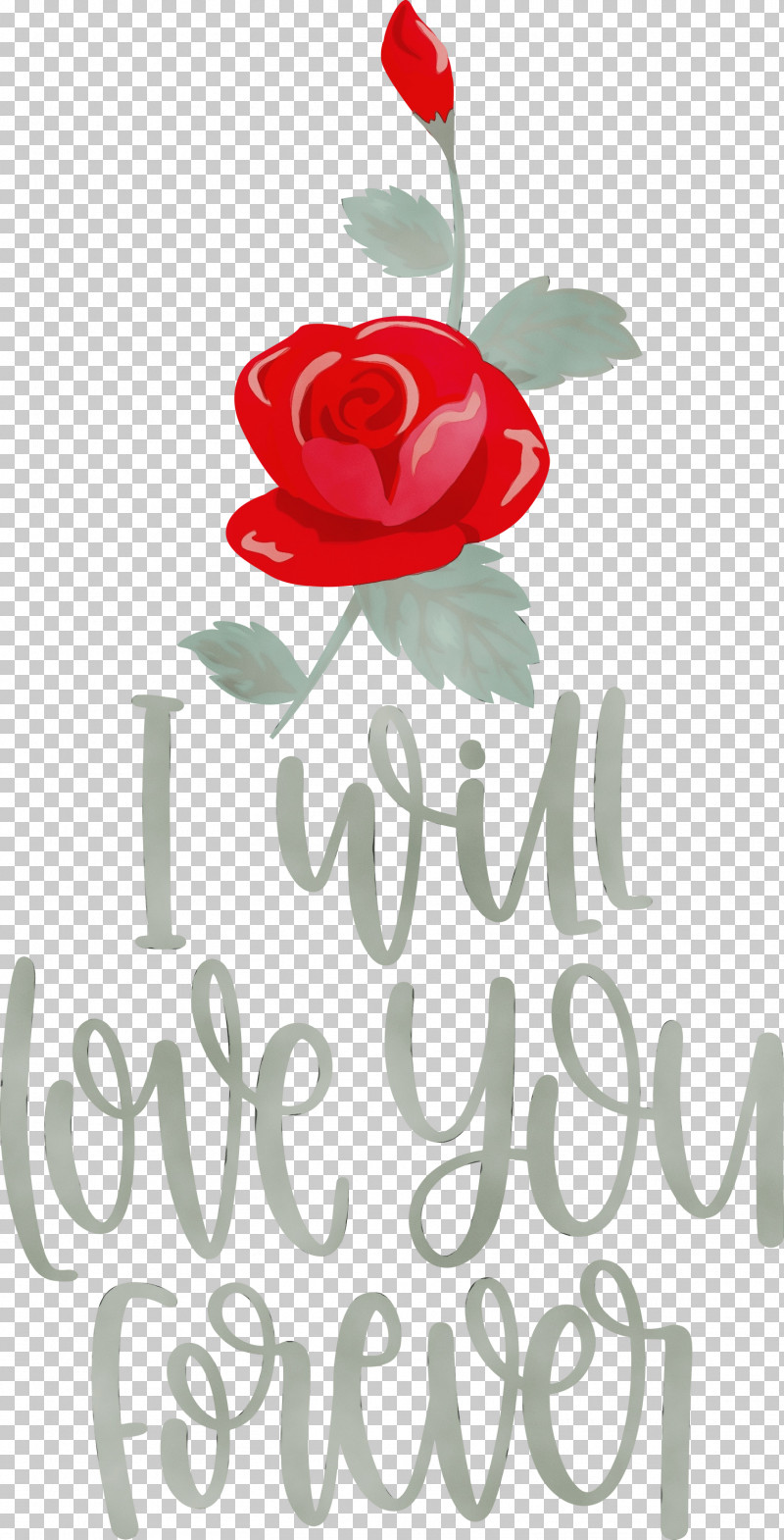 Floral Design PNG, Clipart, Cut Flowers, Flora, Floral Design, Garden, Garden Roses Free PNG Download