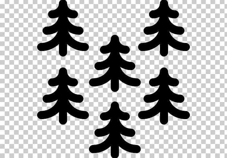 Pine Christmas Tree Spruce PNG, Clipart, Black And White, Branch, Christmas Decoration, Christmas Ornament, Christmas Tree Free PNG Download