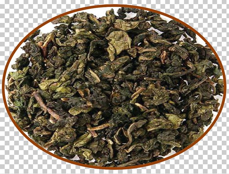 Tieguanyin Oolong Nilgiri Tea Green Tea PNG, Clipart,  Free PNG Download