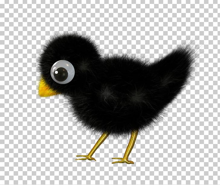 Emoticon Smiley Emoji PNG, Clipart, Beak, Bird, Blog, Cartoon, Emoji Free PNG Download