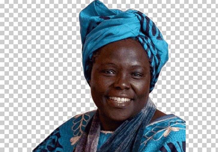 Taking Root: The Vision Of Wangari Maathai Kenya 2004 Nobel Peace Prize Green Belt Movement PNG, Clipart, African, Bandana, Benedictine College, Dastar, Environmentalism Free PNG Download