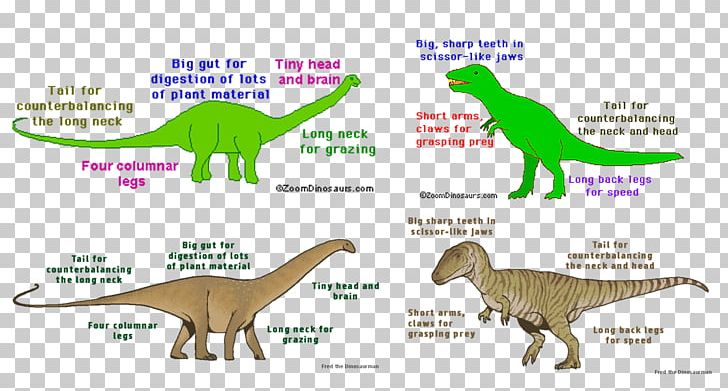 Tyrannosaurus Velociraptor Supersaurus Diagram PNG, Clipart, Animal, Animal Figure, Area, Diagram, Dinosaur Free PNG Download
