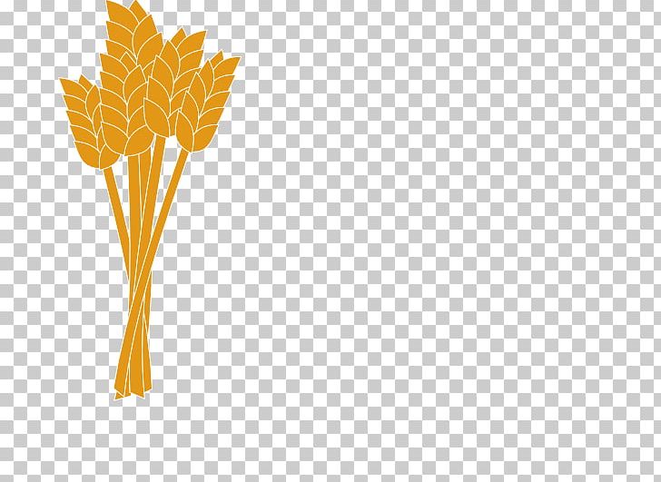 Wheat PNG, Clipart, Commodity, Computer Icons, Desktop Wallpaper, Flower, Flowering Plant Free PNG Download