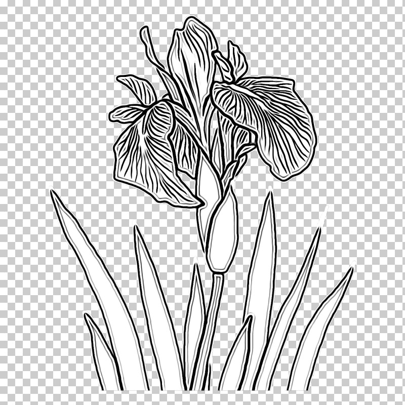 Floral Design PNG, Clipart, Cut Flowers, Drawing, Floral Design, Flower, Leaf Free PNG Download