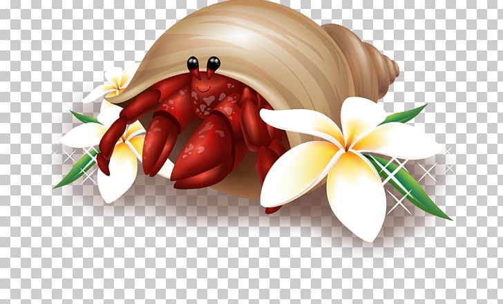 Crab Sea Euclidean PNG, Clipart, Adobe Illustrator, Animals, Artworks, Beach, Cartoon Crab Free PNG Download