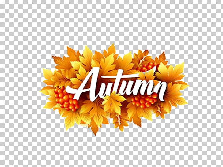 Four Seasons Hotels And Resorts Illustration PNG, Clipart, Autumn Leaves, Autumn Tree, Calendula, Cut Flowers, Encapsulated Postscript Free PNG Download