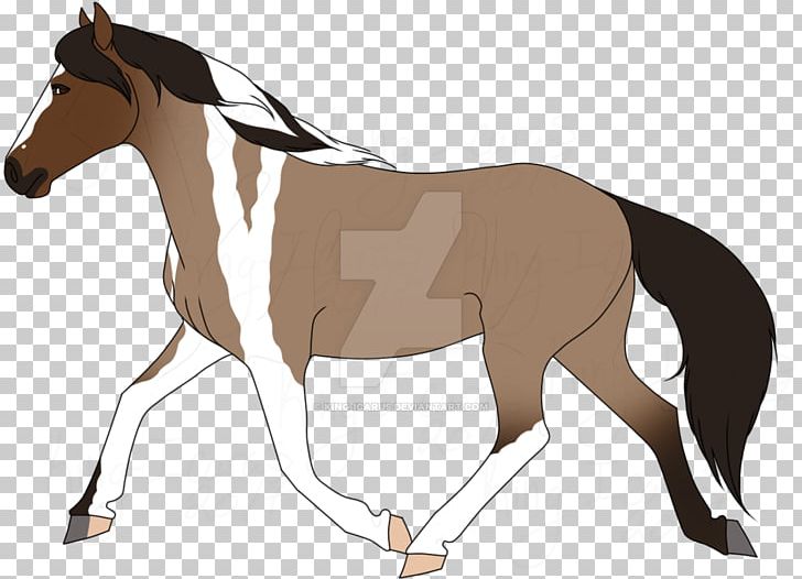 Mule Foal Stallion Mare Rein PNG, Clipart,  Free PNG Download