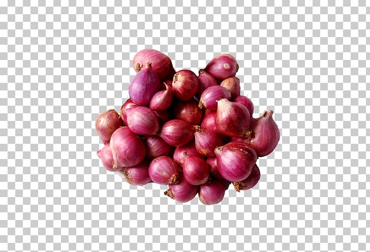 Sambar Shallot White Onion Organic Food Potato PNG, Clipart, Allium, Beet, Betel Leaf, Cranberry, Eggplant Free PNG Download