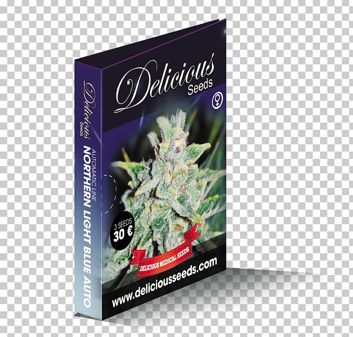 Seed Bank Plant Grow Shop Marijuana PNG, Clipart, Alchimia Grow Shop, Aurora, Auto, Candy, Cannabis Free PNG Download