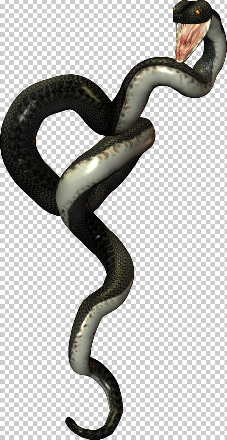 Snake Reptile Vipers PNG, Clipart, Animal, Animals, Cobra, Data Compression, Elapidae Free PNG Download