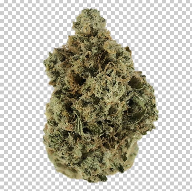 Speedy Jane's Feral Cannabis PNG, Clipart,  Free PNG Download
