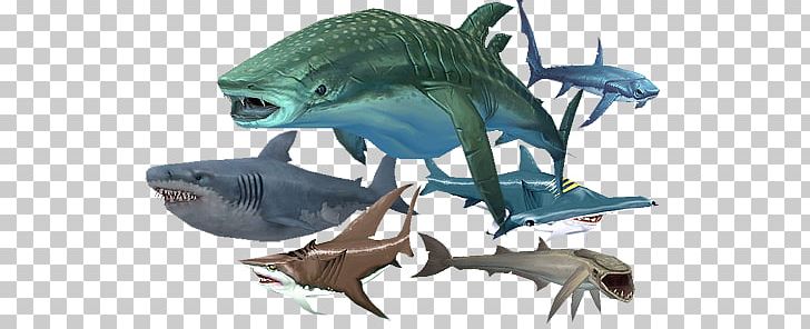 Tiger Shark Hungry Shark Evolution Hungry Shark World World Of Warcraft: Wrath Of The Lich King PNG, Clipart, Animals, Aquatic, Cartilaginous Fish, Colossal, Fauna Free PNG Download