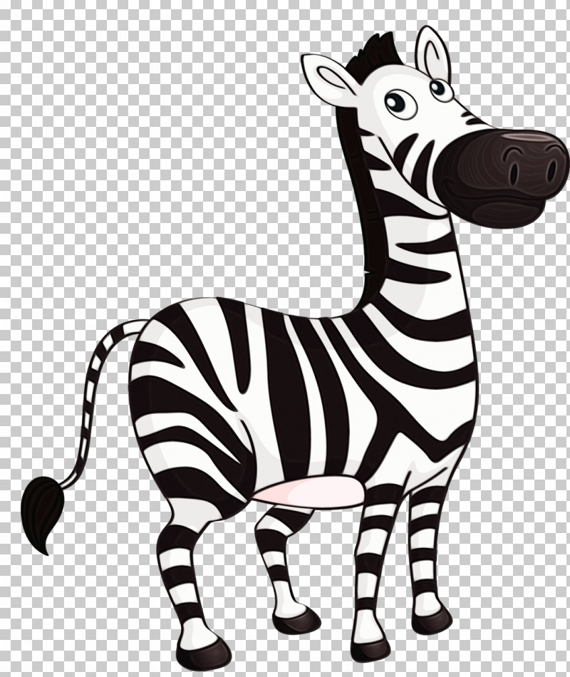 Zebra Animal Figure Cartoon Wildlife Snout PNG, Clipart, Animal Figure, Cartoon, Paint, Snout, Watercolor Free PNG Download