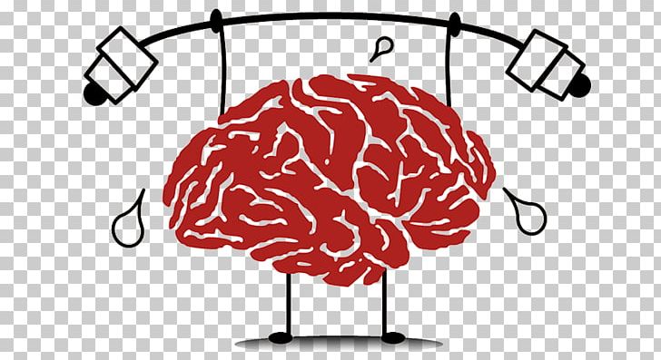 Brain Cognitive Training Neuroscience Exercise Neuroplasticity PNG, Clipart, Area, Brain, Brain Injury, Cognitive Training, Drawing Free PNG Download