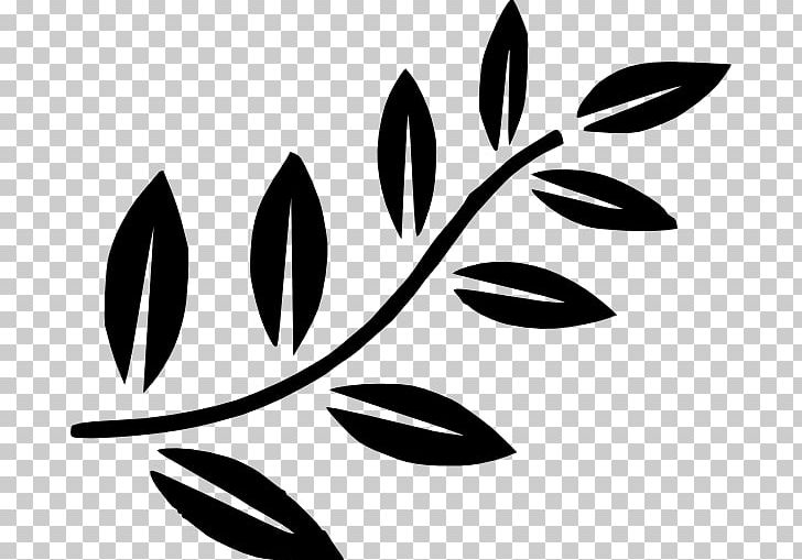 Branch Leaf Tree PNG, Clipart, Angle, Black, Black And White, Branch, Download Free PNG Download