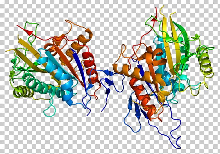 Cenpe Motor Protein Centromere CENPA PNG, Clipart, Art, Centromere, Dna, Food, Gene Free PNG Download