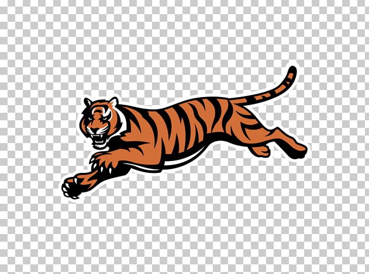 Cincinnati Bengals NFL Cincinnati Bearcats Football T-shirt American Football PNG, Clipart, Animal Figure, Bengal, Big Cats, Carnivoran, Cartoon Free PNG Download