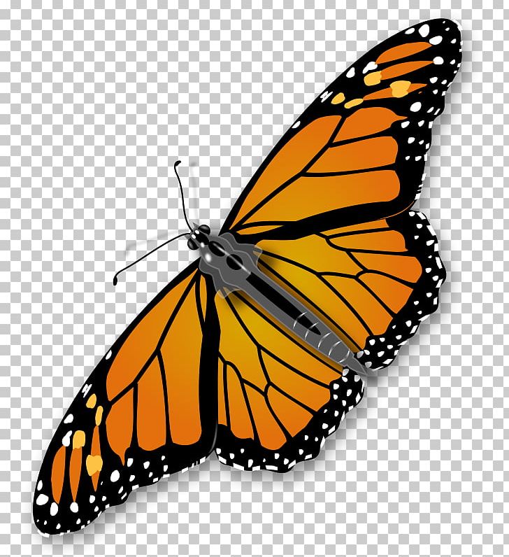 Monarch Butterfly PNG, Clipart, Arthropod, Brush Footed Butterfly, Butterfly, Butterfly Images Free, Computer Icons Free PNG Download