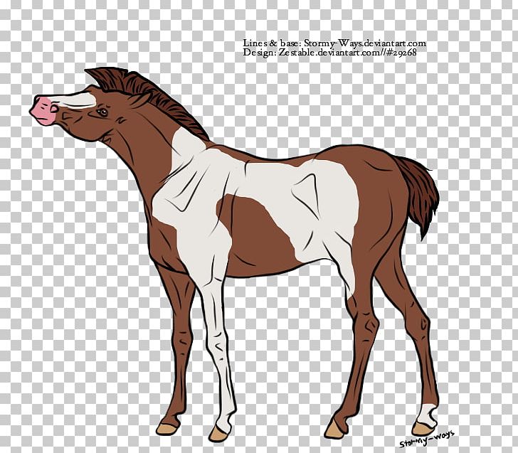 Mule Foal Stallion Colt Mare PNG, Clipart, Colt, Fictional Character, Foal, Halter, Horse Free PNG Download